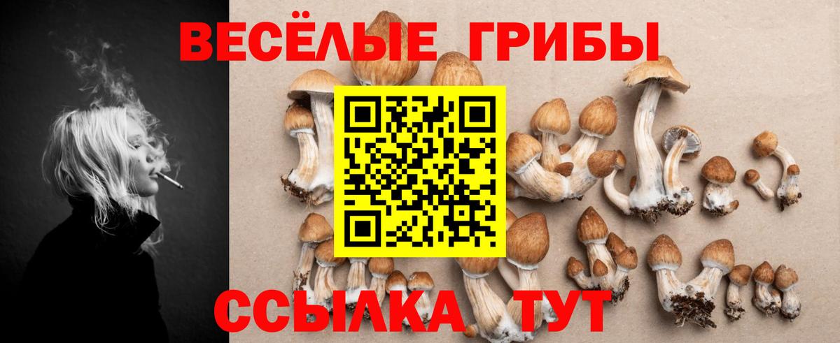 Галлюциногенные грибы мухоморы Красноуфимск