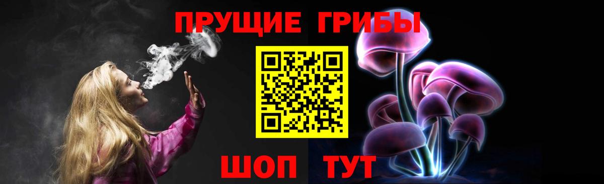 Красноуфимск  Галлюциногенные грибы Cubensis  Вход с VPN 